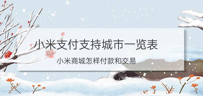 小米支付支持城市一览表 小米商城怎样付款和交易？